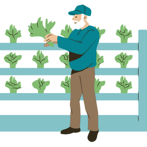 9. Jak prawidłowo i skutecznie uzupełniać wapń w glebie?