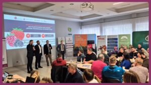 Praktycznie o truskawkach 2026