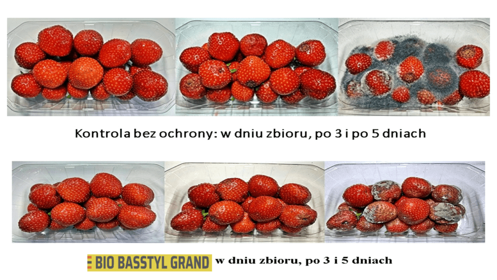 Bio Basstyl Grand - lepsze zawiązywanie owoców i dłuższa trwałość pozbiorcza