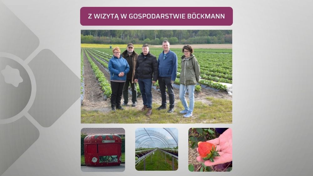 Z WIZYTĄ NA NIEMIECKIEJ PLANTACJI (3)