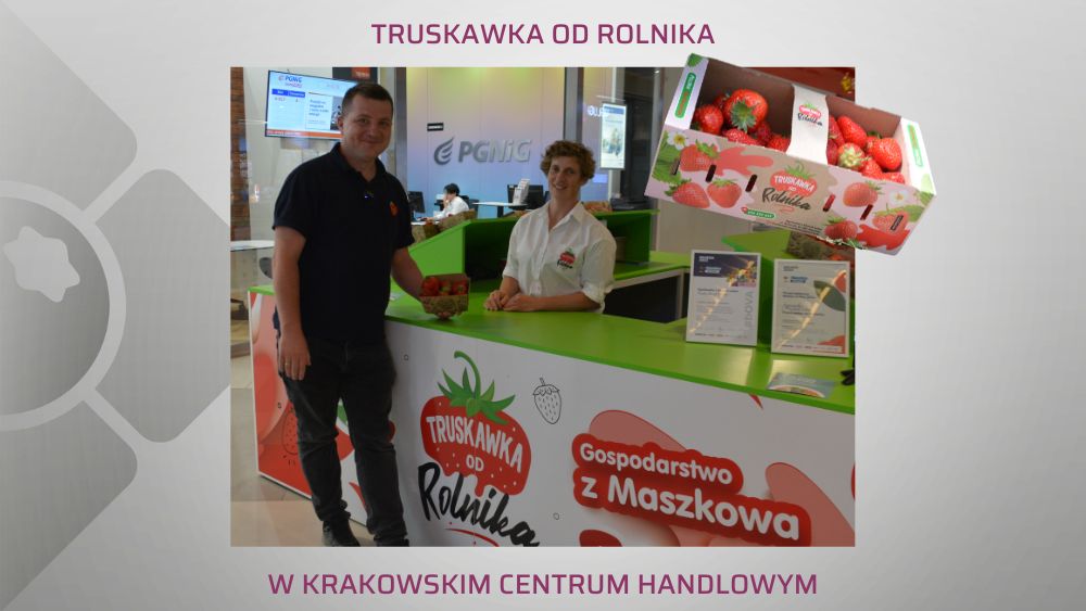 truskawka-od-rolnika