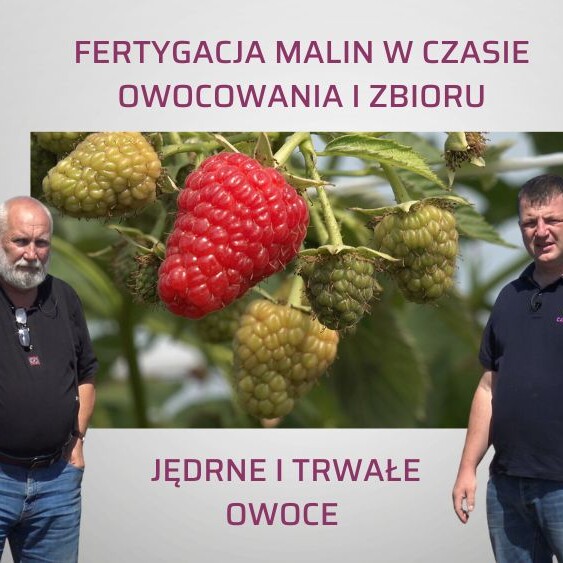 fertygacja-malin-OW