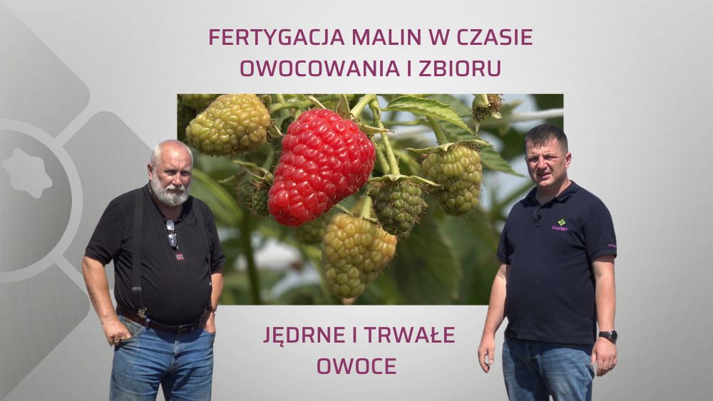 fertygacja-malin-OW