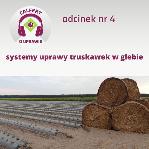 4. Jaki system glebowej uprawy truskawek wybrać, podczas zakładania nowej plantacji?