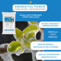 Aminovital Power-infografika