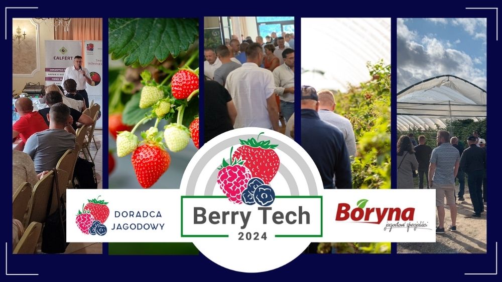 Berry Tech 2024 fotorelacja