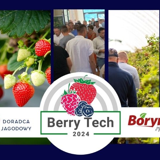 Berry-Tech-2024-fotorelacja