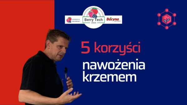 Krzem dla roślin: 5 korzyści ze stosowania nawozów krzemowych