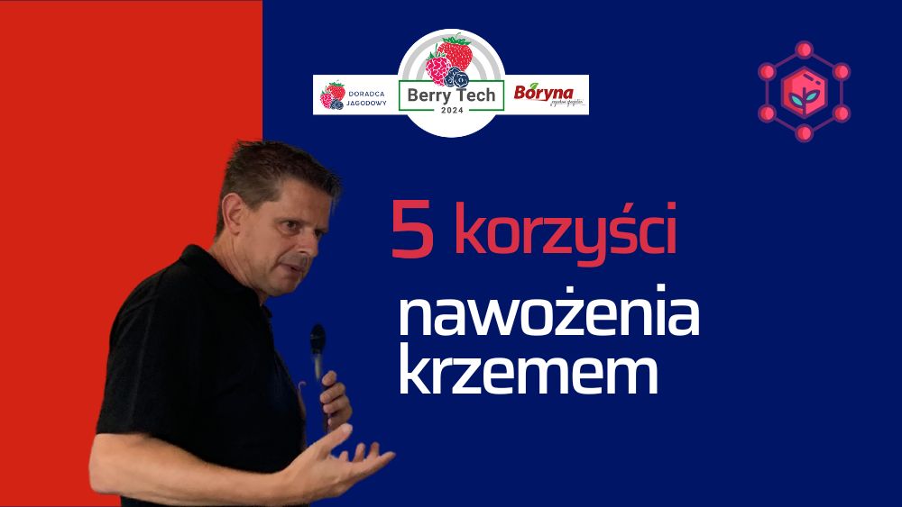 Berry Tech 2024 korzyści nawożenia krzemem