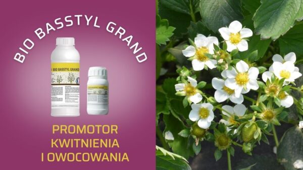 Bio Basstyl Grand z wyciągami roślinnymi typu steroidowego- aktywator kwitnienia i owocowania