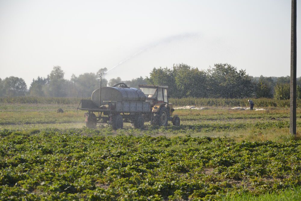 Deszczowanie plantacji przy pomocy beczkowozu oraz zamieszczonego działka wodnego na beczkowozie.