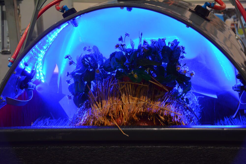 Tunelowy model belki typu fragaria, z pięcioma dyszami.