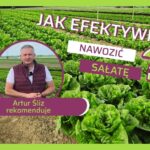 Efektywne nawożenie sałaty-Artur Śliz
