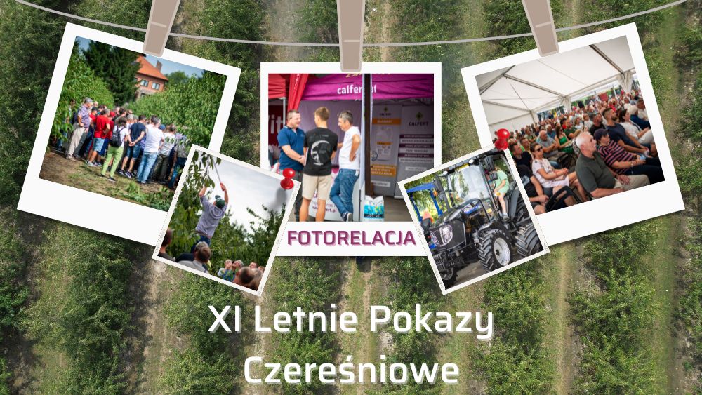 Fotorelacja-Letnie_Pokazy_czeresniowe_2024-ow