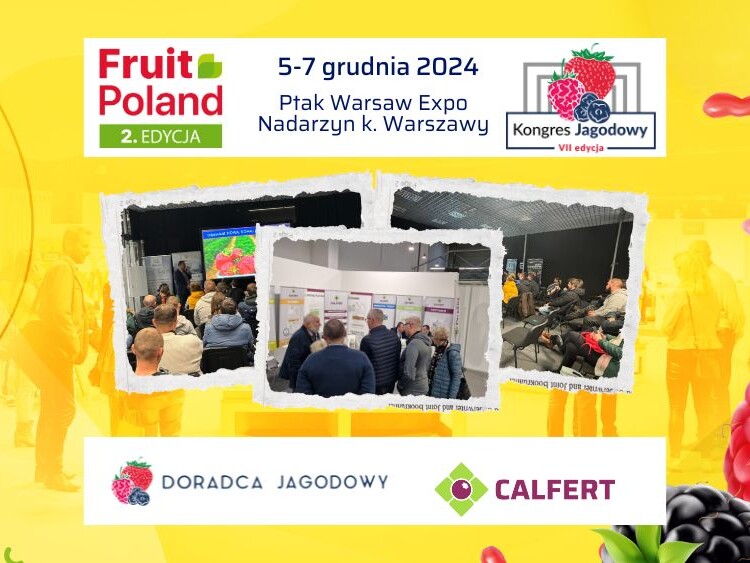 Fruit-Poland-Kongres-Jagodowy_2024-ow