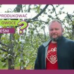 jak uzyskać czereśnie powyżej 30 mm