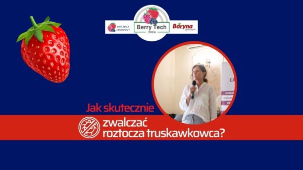 Zwalczanie roztocza truskawkowca – dlaczego takie trudne?