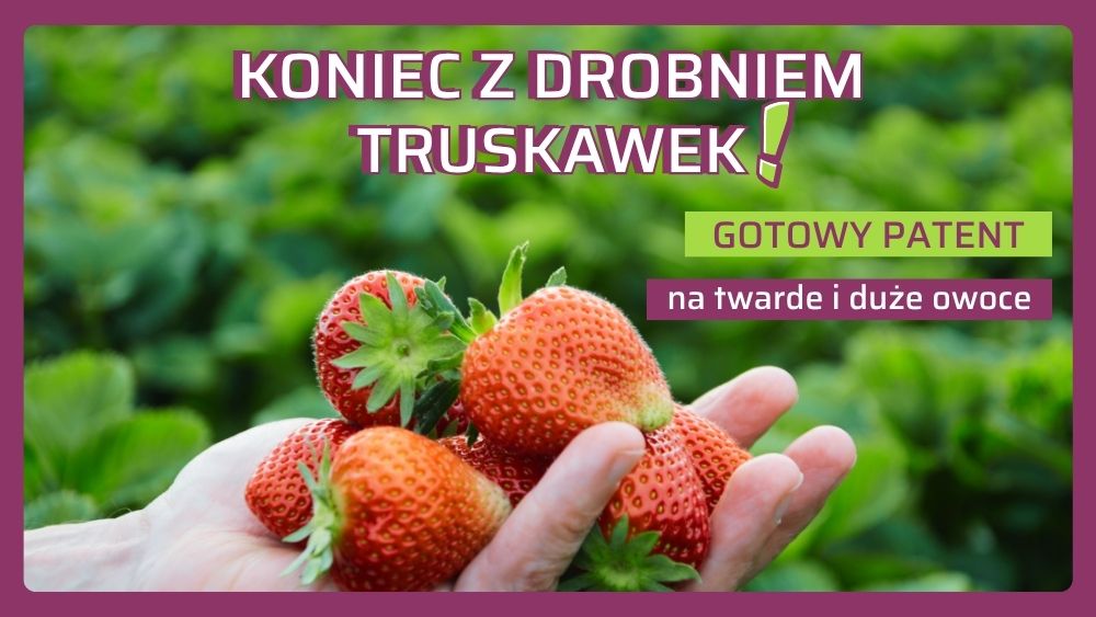 Jak zapobiec drobnieniu owoców