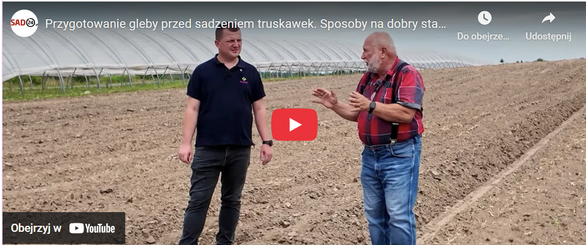 Jarosław Barszczewski i Albert Zwierzyński przygotowanie gleby pod truskawki