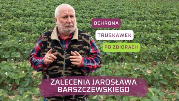 Jesienne zabiegi ochronne Jarosław Barszczewski truskawka 2025