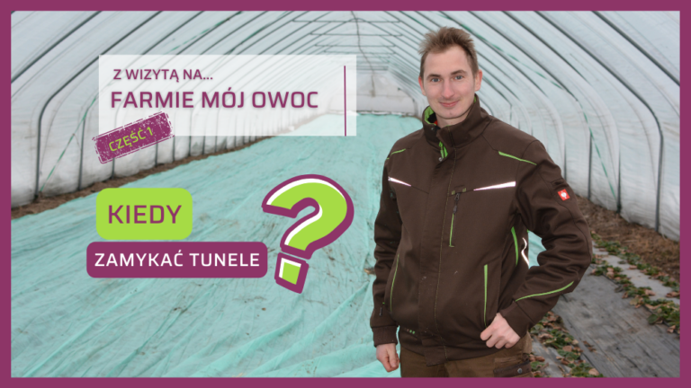 Kiedy zamykać tunele Farma Mój Owoc Mateusz Maruszewski