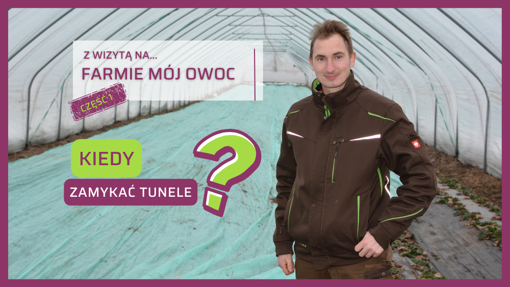 Kiedy zamykać tunele Farma Mój Owoc Mateusz Maruszewski
