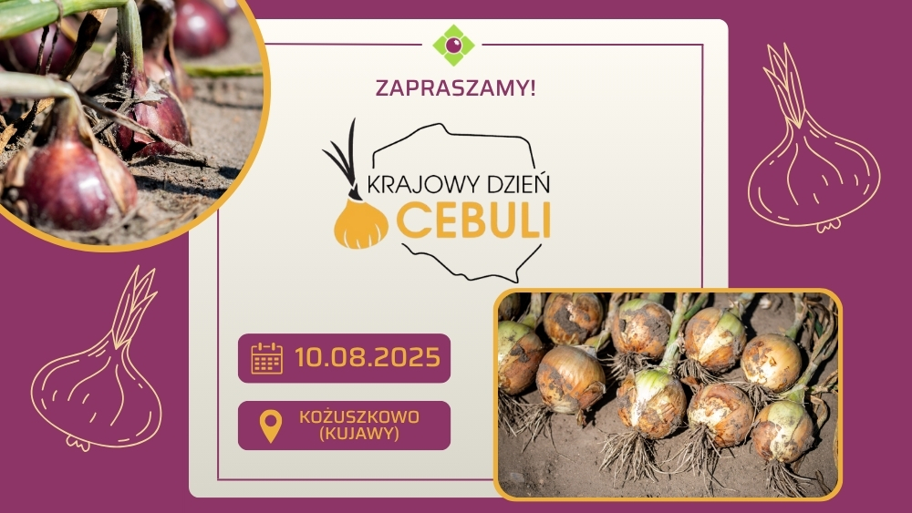 Krajowy Dzień Cebuli 2025 - zaproszenie