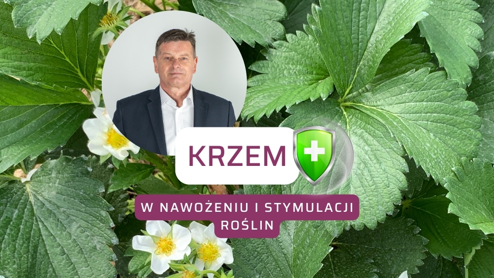 Krzem w nawożeniu roślin-prof. Zbigniew Jarosz