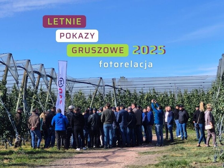 Letnie Pokazy Gruszowe 2025 – fotorelacja – ow