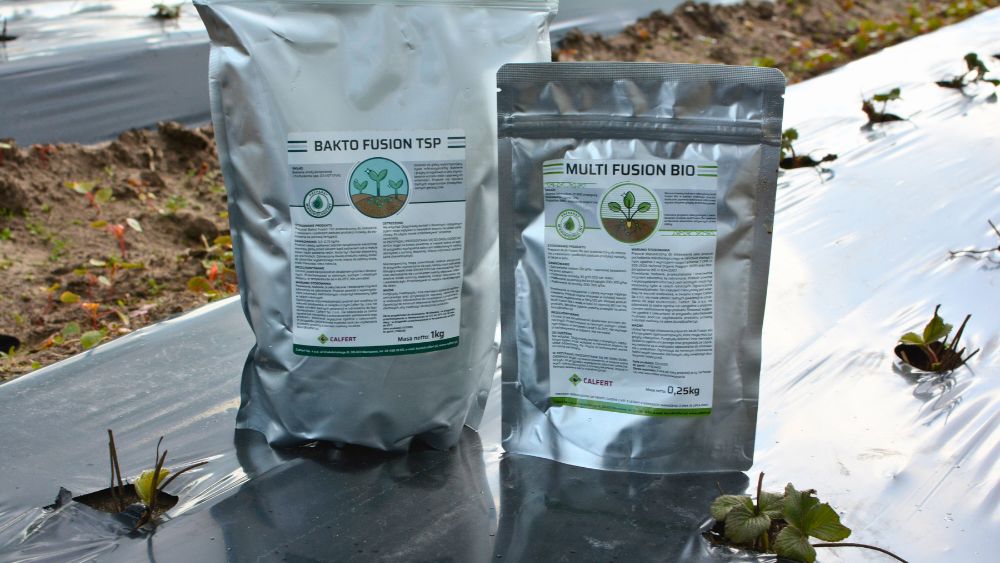 Multi Fusion Bio i Bakto Fusion TSP na nową plantację truskawki