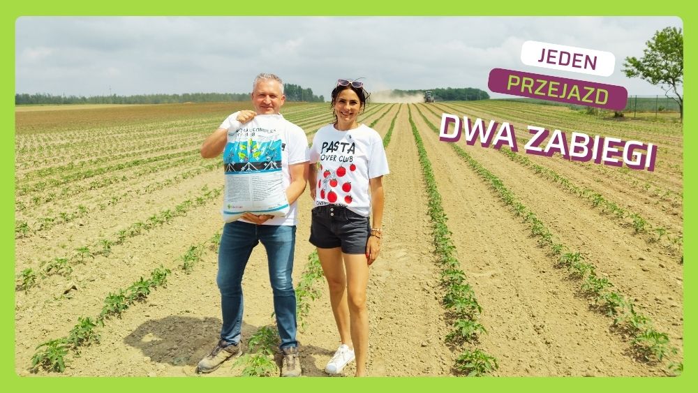Nawożenie pomidora gruntowego
