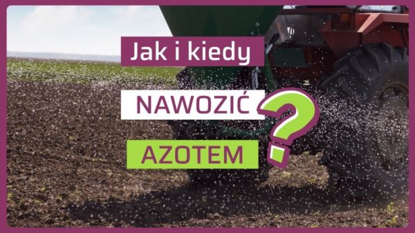 Azot w żywieniu roślin. Jak stosować nawozy azotowe?