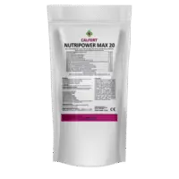 NutriPower Max 20