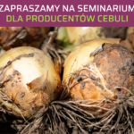 spotkanie cebulowe