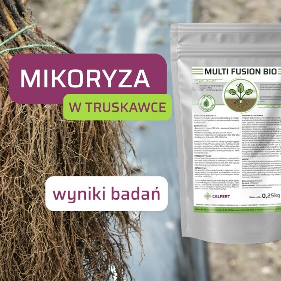 Obrazek wyrózniający na www – 2025-05-29T161115.573
