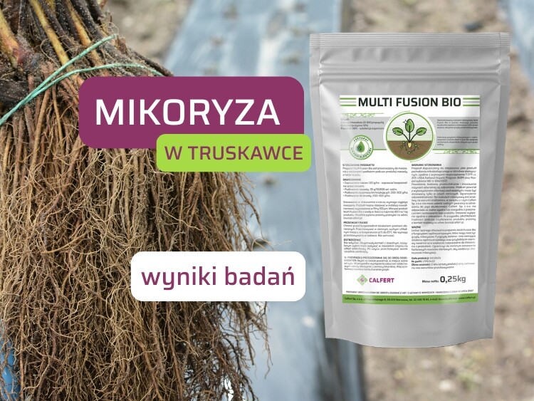 Obrazek wyrózniający na www – 2025-05-29T161115.573
