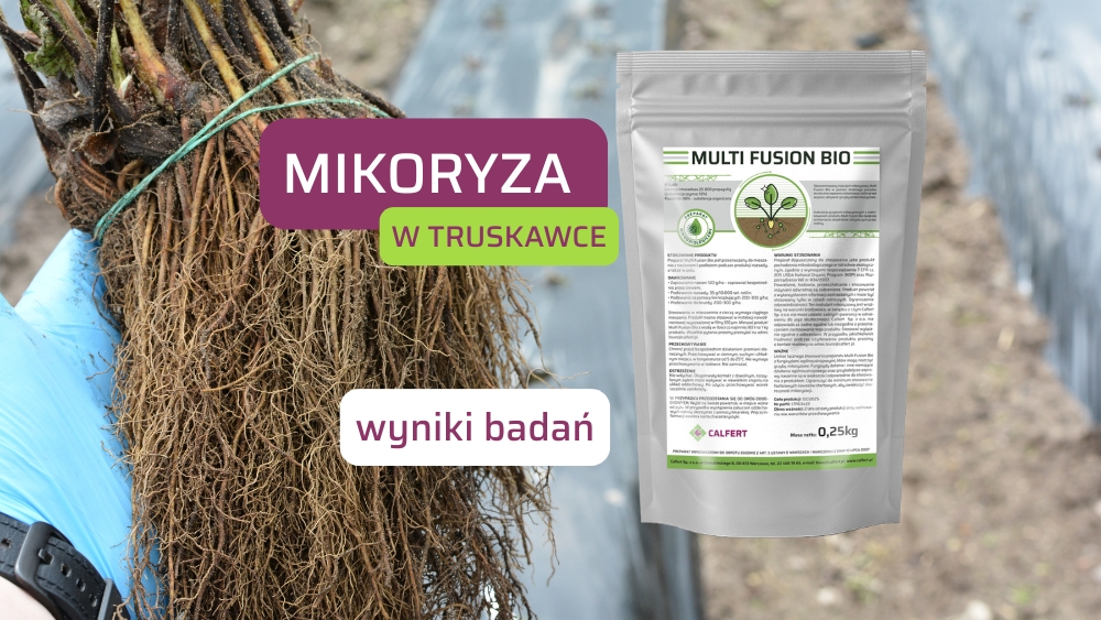 Obrazek wyrózniający na www – 2025-05-29T161115.573