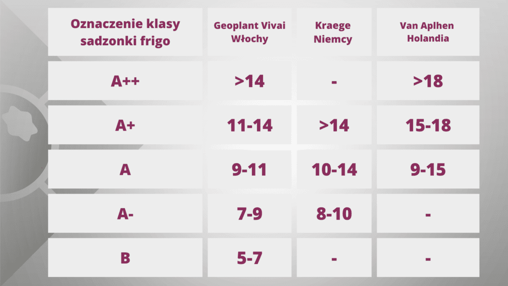 Oznaczenie klasy sadzonki frigo oraz podane wymiary średnicy korony w milimetrach dla sadzonek frigo z różnych europejskich szkółek.
