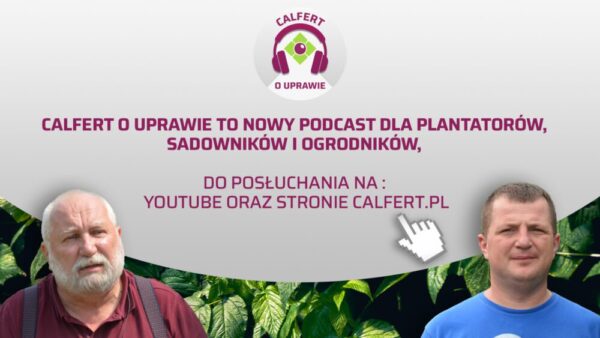 Podcast Calfert o Uprawie – już wystartował i możesz go słuchać, kiedy chcesz.