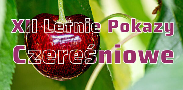 XII Letnie Pokazy Czereśniowe 2025 – technologia uprawy, systemy ochrony i kierunki rozwoju intensywnych sadów czereśniowych