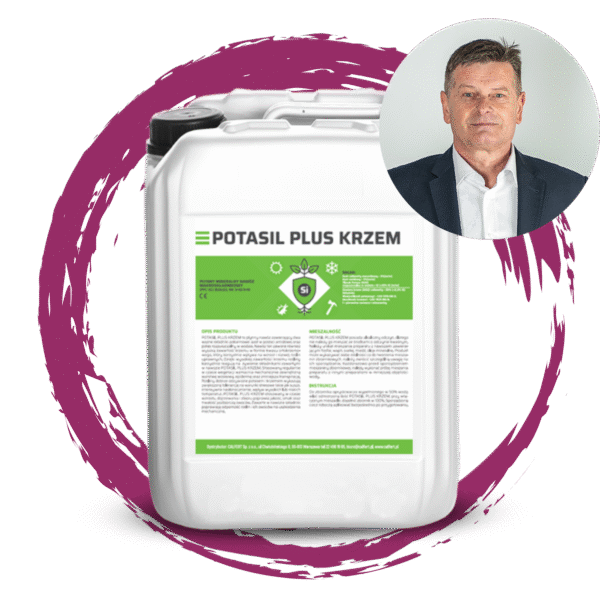 Jakie korzyści osiąga plantator z regularnego stosowania nawozu POTASIL PLUS KRZEM?