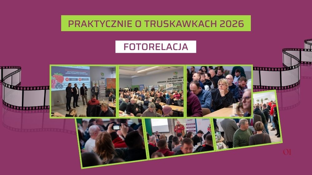 Praktycznie o Truskawkach 2026 - fotorelacja