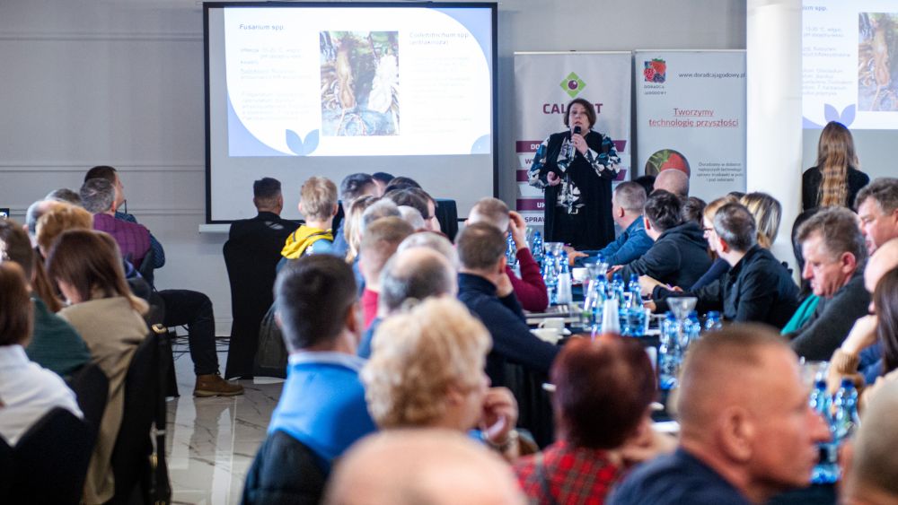 Praktycznie o Truskawkach-5