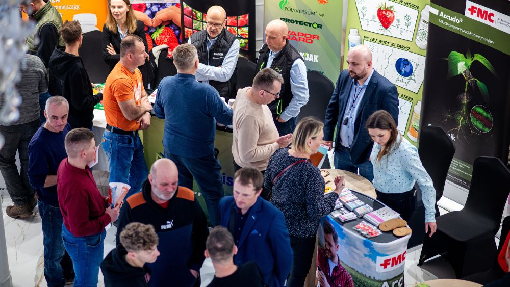 Praktycznie o Truskawkach-7