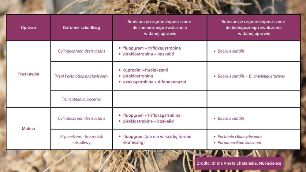 Ranking szkodliwości A. Chałańska – 2-tabela