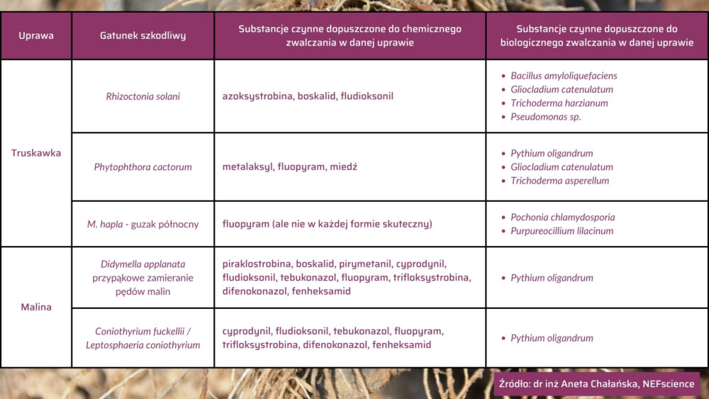 Ranking szkodliwości A. Chałańska – 3-tabela