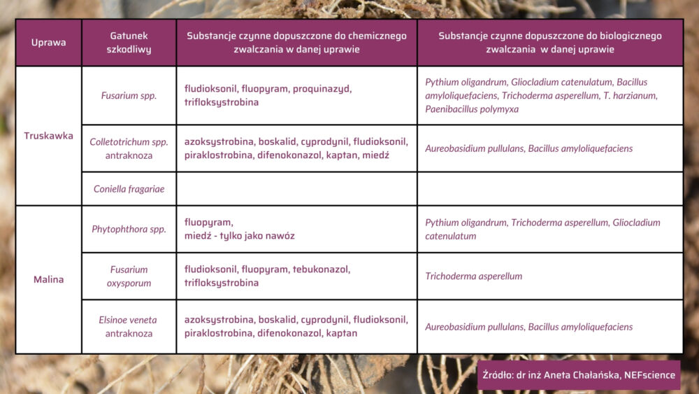 Ranking szkodliwości A. Chałańska – 4-tabela