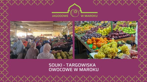 Marokańskie targowiska: ceny i organizacja sprzedaży owoców