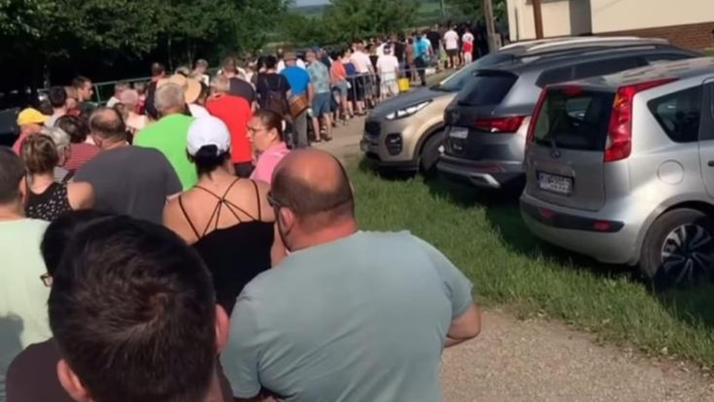 Samozbiory truskawkek Słowacja