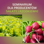 Seminarium rzodkiewka sałata
